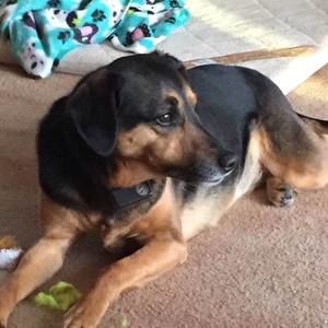 Meet your Posher, Denise